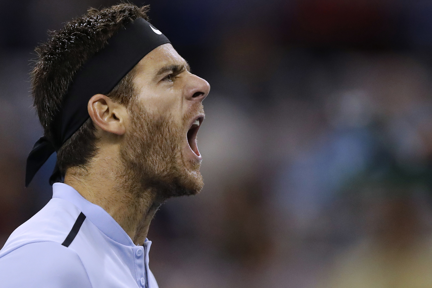 Del Potro cae en el Masters 1000 de París 