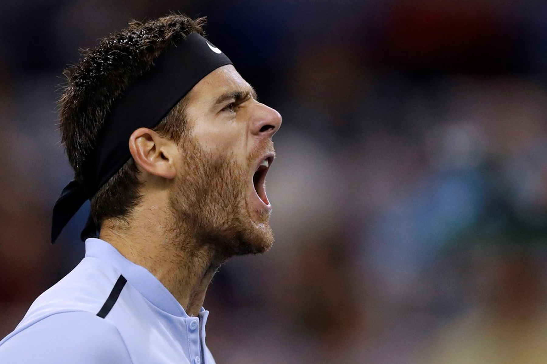 Juan Martín del Potro se corona campeón del Abierto de Estocolmo 